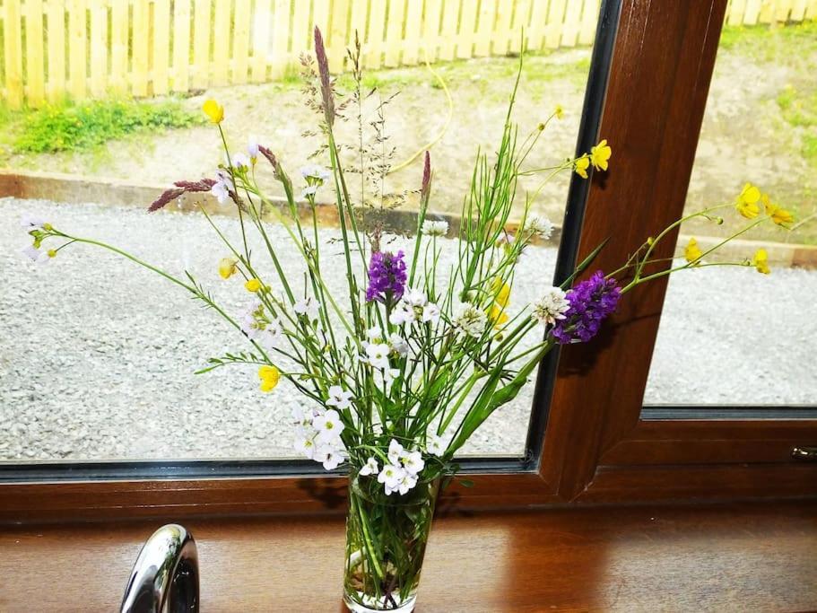 The Cosy Farm Cottage, Donegal Inver Экстерьер фото